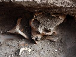 De una población calculada en unos 20 millones de personas, el cocoliztli acabó con la vida de entre 12 y 15 millones. NOTIMEX/Archivo