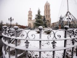 Fotogalería: El efecto de las heladas en México