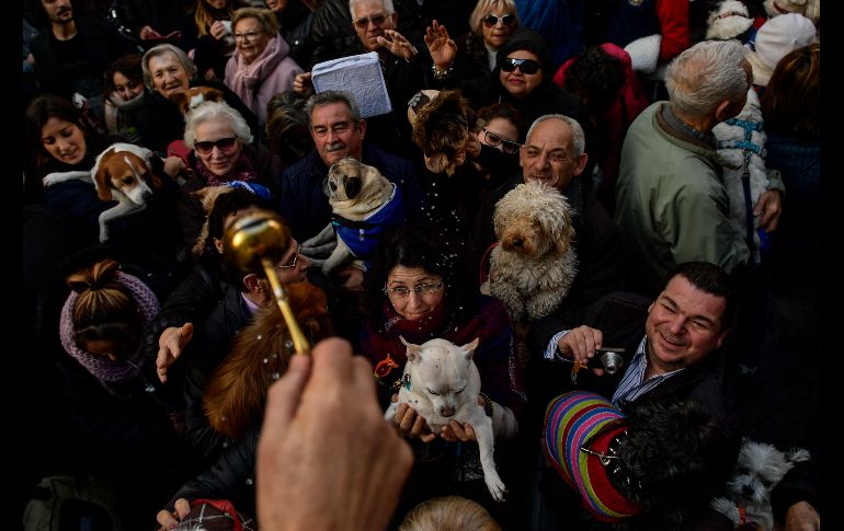 Un sacerdote echa agua bendita a las mascotas y sus dueños. En muchas ciudades de España se repite esta tradición.