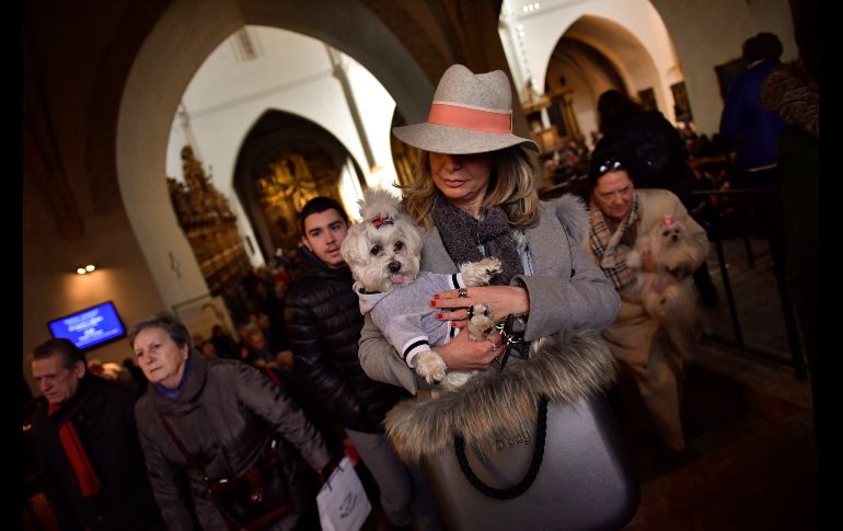 Personas llevan sus mascotas a bendecir en un tempo de Zaragoza, España.