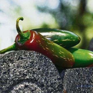 México defiende el chile en acuerdo con Europa