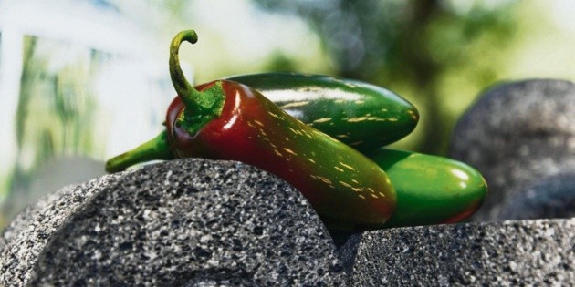 M&eacute;xico defiende el chile en acuerdo con Europa