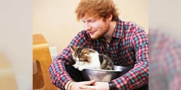 Ed Sheeran anuncia su compromiso en Instagram