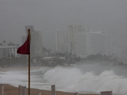 Las causas de muerte serán determinadas de acuerdo con los resultados de la necropsia de ley. EFE/ARCHIVO