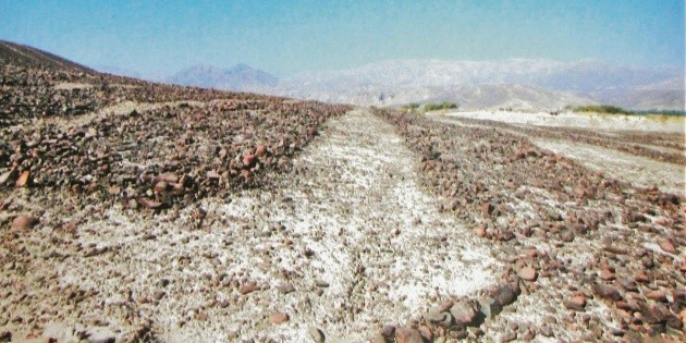 "Dibujar figuras en el desierto" &iquest;Por qu&eacute; o para qu&eacute;?