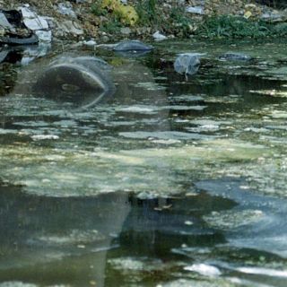 Multan a empresa por contaminar ríos en Nuevo León