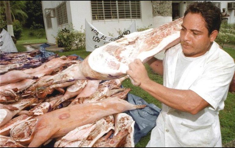Jalisco es el primer productor de carne porcina a nivel nacional, tan sólo en 2017, se obtuvieron 604 mil 707.6 toneladas. AFP / ARCHIVO
