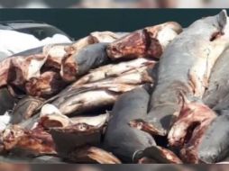 La acción se dio desde una camioneta que minutos antes había sido robada en La Barca, Jalisco. YOUTUBE / Red-113 Michoacán