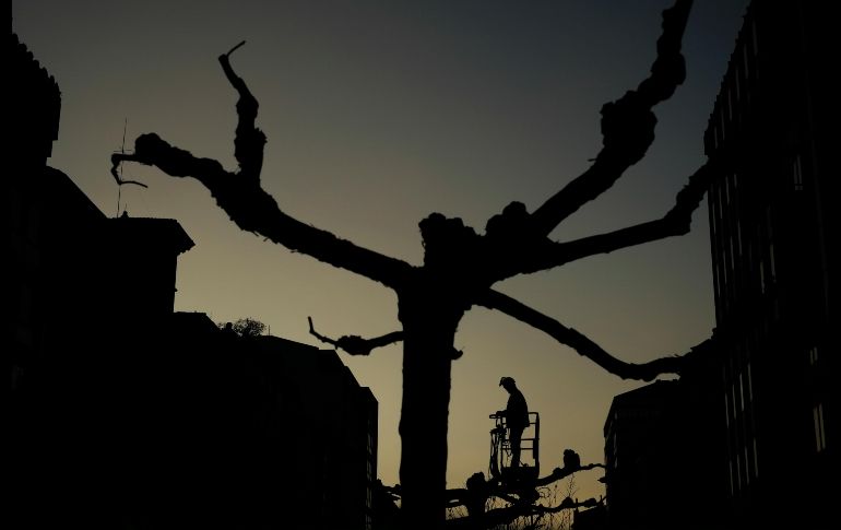 Un trabajador poda árboles desde una grúa en Pamplona, España. AP/A. Barrientos