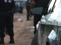 Lo asegurado es puesto a disposición del Ministerio Público de la Federación. EL INFORMADOR / ARCHIVO