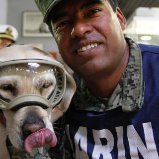 Donan botas de Frida