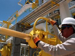 Con un total de 93 mil 631 nuevos puestos de trabajo, Jalisco se colocó en el primer lugar nacional en generación de empleo. EFE/ARCHIVO