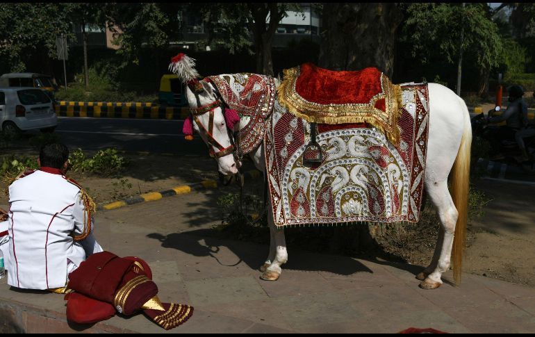 Un integrante de una banda de música aguarda en un camino cerca de un caballo decorado, prevo a una presentación en una boda en Nueva Delhi, India. AFP/S. Hussain