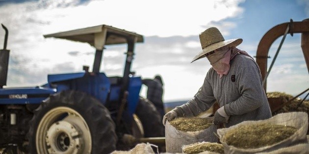 Econom&iacute;a mexicana creci&oacute; 2.3 por ciento en 2017: Inegi