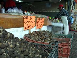 La saxitoxina tiene efectos paralizantes que pueden propiciar daños a la salud si se consume un molusco bivalvo contaminado. EL INFORMADOR/Archivo