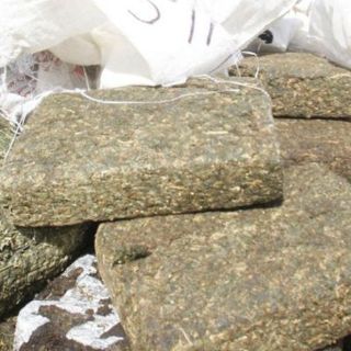 La PGR decomisa 300 kilos de mota en Yahualica