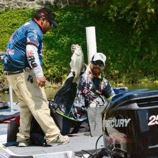 Será nutrida asistencia en Chapala