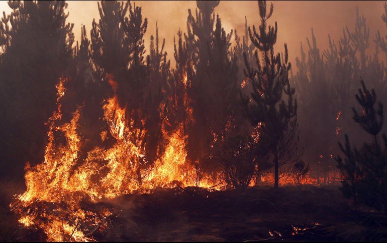 Hace poco menos de dos semanas, este incendio consumió más de 200 mil hectáreas en la zona de El Maule. ESPECIAL/ARCHIVO
