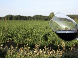 El consumo per cápita de vino en México es de 750 mililitros, en tanto que la industria mexicana cuenta con 32 mil hectáreas de viñedo. AFP / ARCHIVO