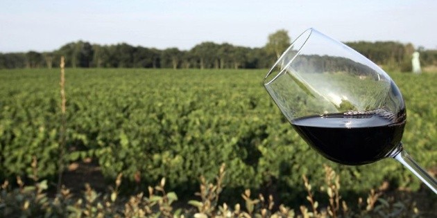 Tinto, el vino favorito para tomar entre los mexicanos