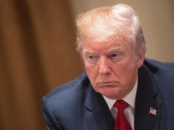 La petición de Trump levantó una ola de comparaciones con gobiernos autocráticos. EFE / C. Kleponis