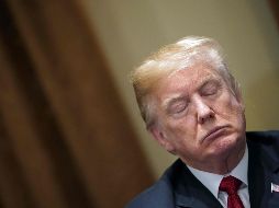 Trump ha asegurado varias veces que no lleva peluca, pero sí ha admitido usar laca. AFP / M. Ngan