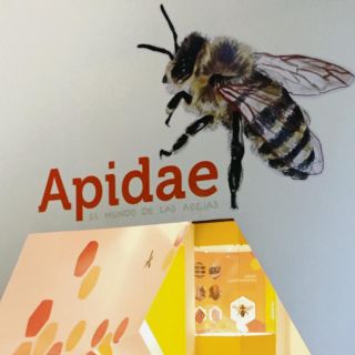 Una dulce celebración