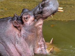 El mundo en imágenes del 09 de febrero de 2018