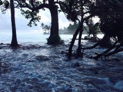 El aumento del nivel del mar se está acelerando y podría llegar a 66 centímetros a finales del siglo. TWITTER / @AFPespanol