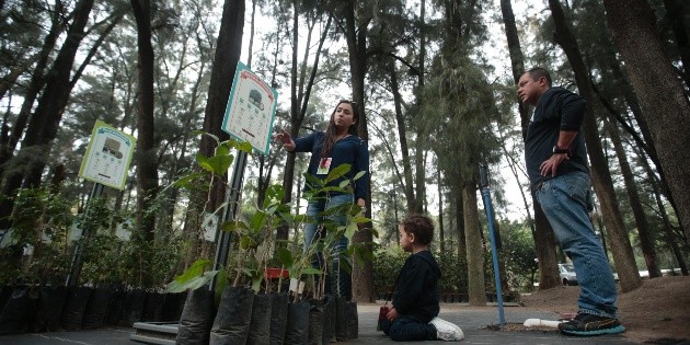 Extra crear&aacute; laboratorio para producir semillas modificadas