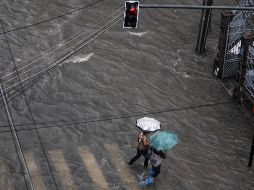 La tormenta ocasionó la caída de árboles en al menos 20 calles de la ciudad, lo que interrumpió el tráfico en algunas de las más importantes vías. EFE/ARCHIVO