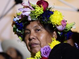 El concejal afirmó que no detendrán la recolección de las mismas hasta el 19 de febrero. AFP/ ARCHIVO