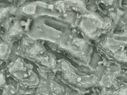 La ciudad fue hallada gracias a la técnica lidar que utiliza pulsos láser para explorar debajo del follaje. ESPECIAL / C. Fisher