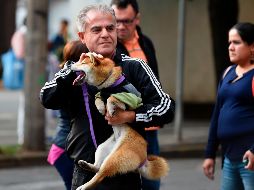 En la capital mexicana, los efectos del sismo quedaron en mero susto y nerviosismo entre la población. AFP / A. Estrella