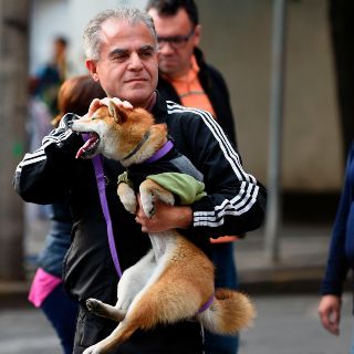 ¿Qué diferencia hay entre el sismo de hoy y el del 19 de septiembre?