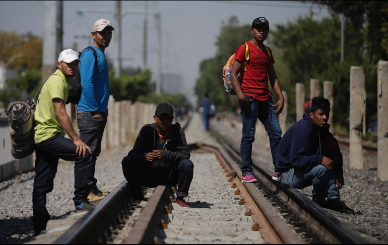 Varios migrantes que esperan el paso del tren para subirse se sumaron a la brigada. EL INFORMADOR/F. Atilano