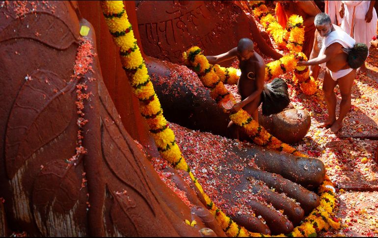 Devotos del jainismo adornan los pies de una estatua de 17 metros del dios Bahubali, en el segundo día de la ceremonia Mahamastabhisheka realizada en la ciudad india de Shravanabelgola. AFP