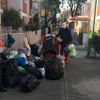 La basura, oficio entretenido y muy socorrido