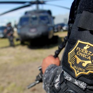 Destruyen 94 mil plantas de amapola en Jalisco