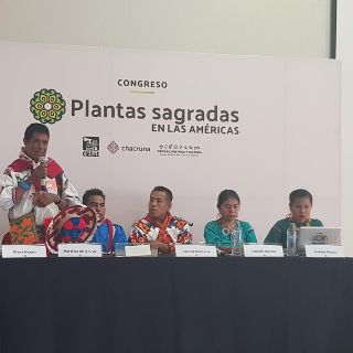 Arranca el congreso de plantas psicoactivas en Ajijic