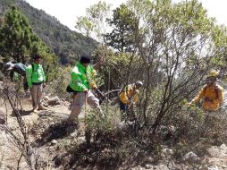 Después de cuatro horas de recorrido, este jueves los brigadistas ingresaron a la zona del incendio donde habilitaron brechas para cortar el fuego. TWITTER / @pcivilchiapas