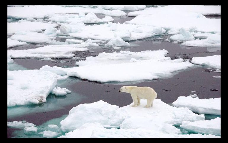 El hielo marino que rodea la Antártida se redujo a 2.15 millones de kilómetros cuadrados. ESPECIAL / www.nasa.gov