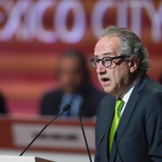 La FMF hace oficial la renuncia de Decio de María