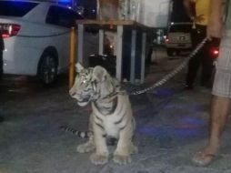 En redes sociales se difundió la imagen del empresario que paseaba con su mascota. ESPECIAL