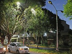 Algunos árboles han impedido que se remplacen luminarias de vapor de sodio en Guadalajara. EL INFORMADOR/A. Camacho