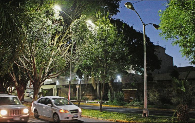Algunos árboles han impedido que se remplacen luminarias de vapor de sodio en Guadalajara. EL INFORMADOR/A. Camacho