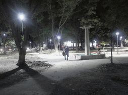 En proceso de cambio. En los senderos del parque se colocaron luminarias. EL INFORMADOR/M. Vargas