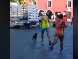 El animal se mezcló con los corredores y uno de ellos se adelantó para poder patear al can. FACEBOOK / Valor por valladolid,ciudad segura