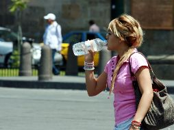Estiman, para hoy, temperaturas máximas de 19 hgrados y mínims de 11. EL INFORMADOR/ARCHIVO