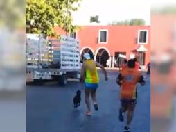 En un video se ve cómo Manuel Alcocer golpea al perro. Facebook/Red Animal Yucatán